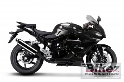 2010 Hyosung GT250R photo